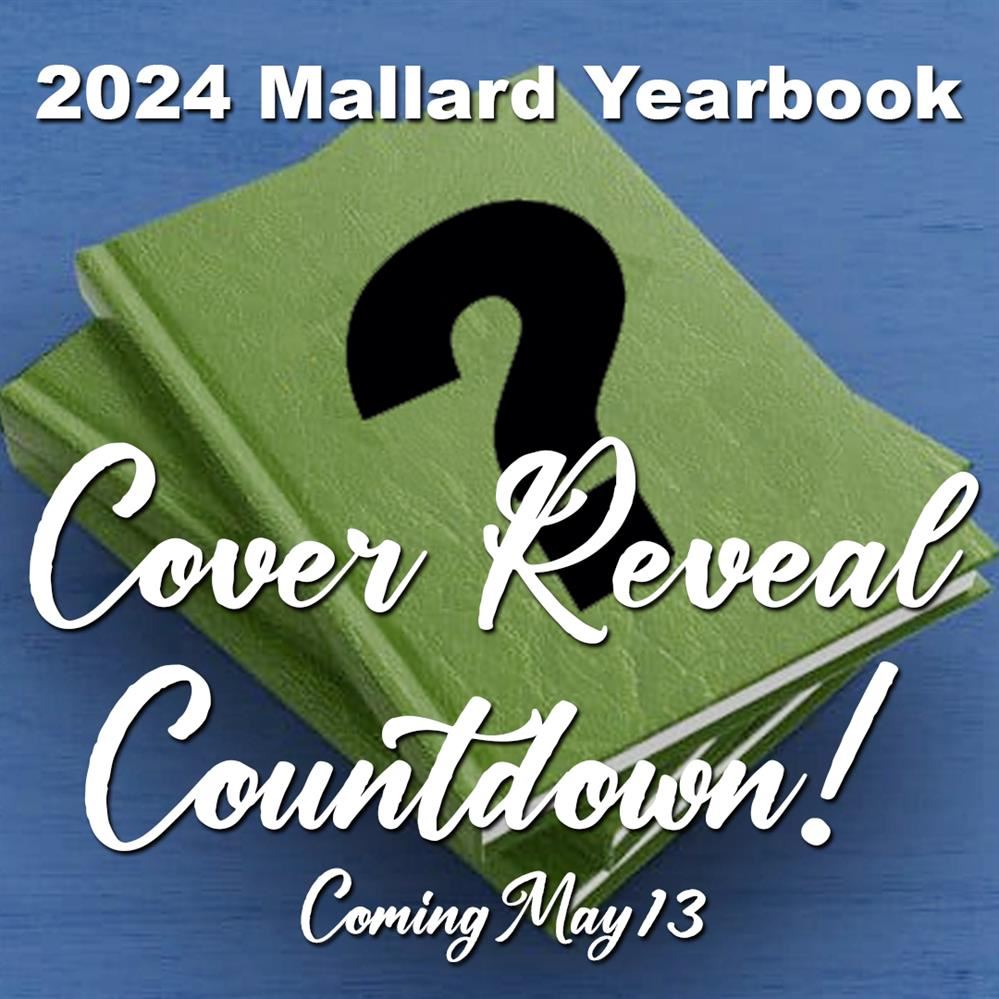 Cover Reveal Countdown