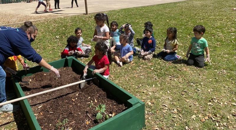 Legacy Senior builds garden beds for PK classes