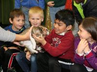  children petting a cat